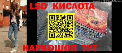 крисы Камышлов