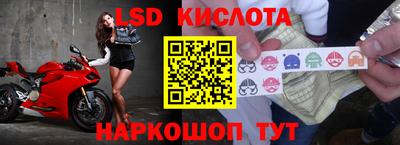 гашик Кандалакша