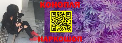 гашик Кандалакша