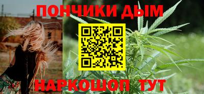 крисы Камышлов