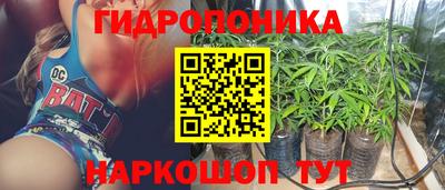 крисы Камышлов