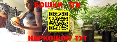 крисы Камышлов