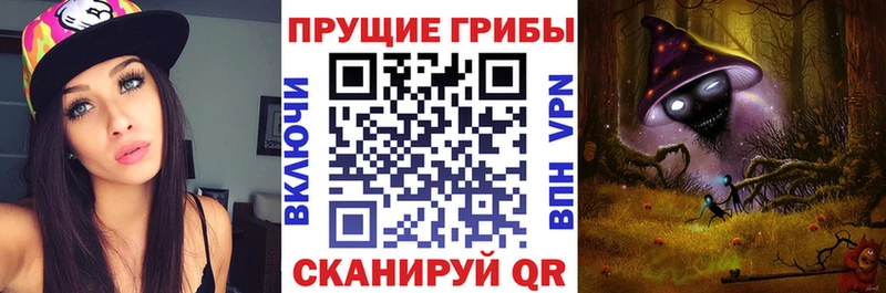 закладка  Тулун  Псилоцибиновые грибы мицелий 