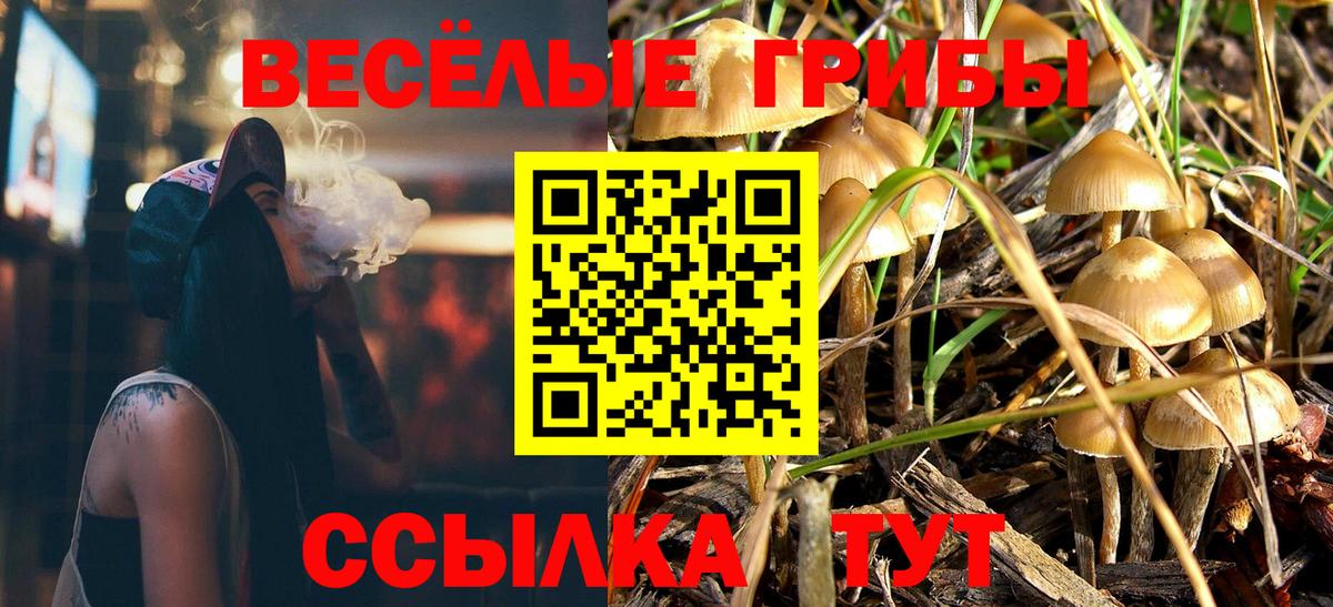 Псилоцибиновые грибы Cubensis Тулун